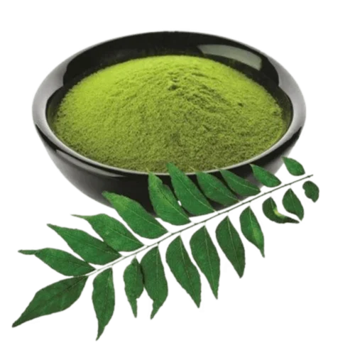Curry leaves powder