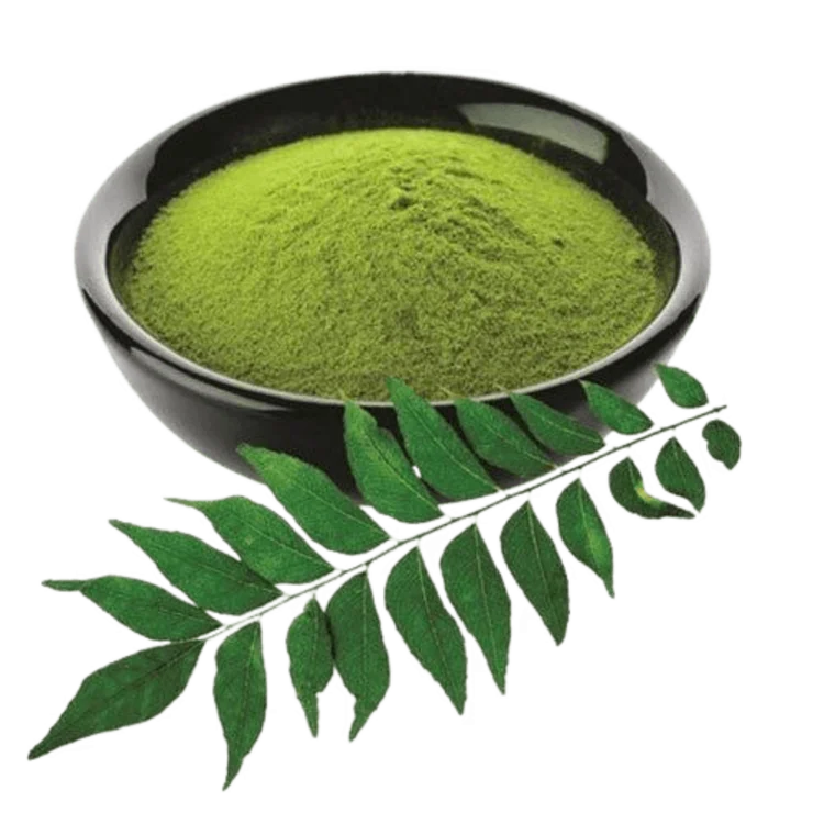 Curry leaves powder